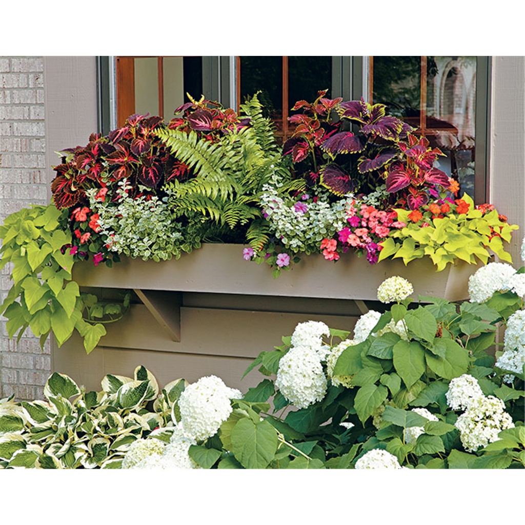 Spice Up Your Garden With Windowboxes and Pots