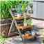 Hardwood Small Plant Ladder